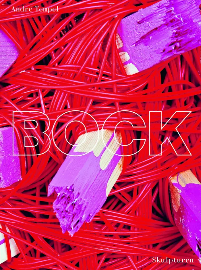 Buchcover mit roten Schnüren und lila lackiertem Holz