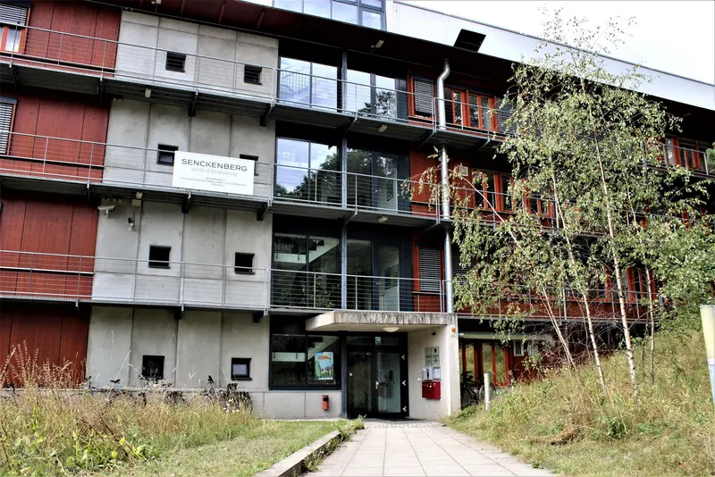 Ansicht eines Gebäudes in Senckenberg