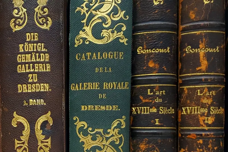 alte Buchrücken in verschiedenen Farben mit goldener Prägung